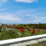 Thumbnail of 