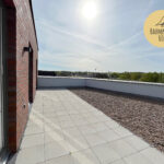Thumbnail of 