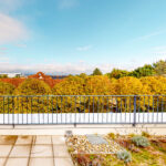 Thumbnail of 