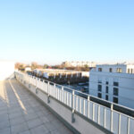 Thumbnail of 