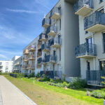 Thumbnail of 