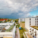 Thumbnail of 